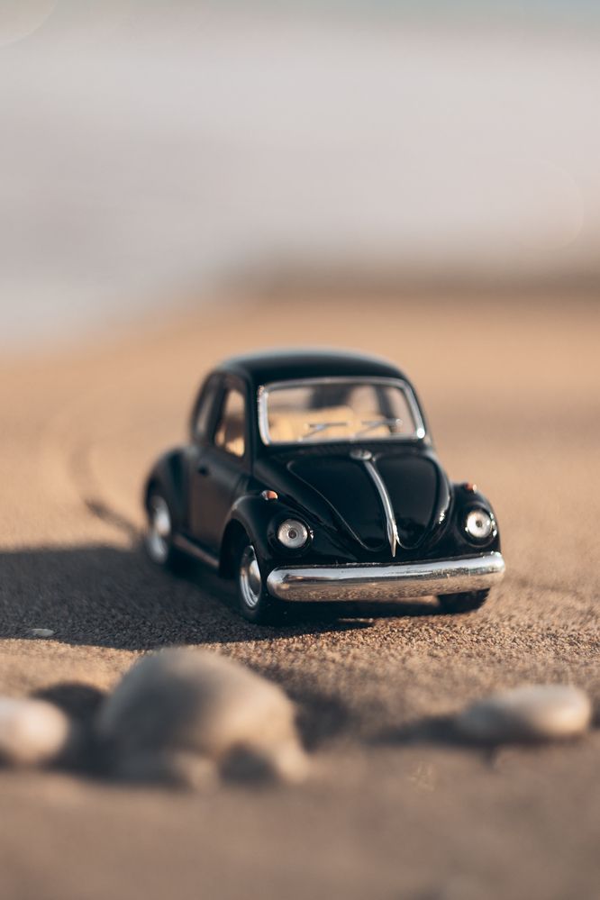 Фотография автора Эльвира Полудницына