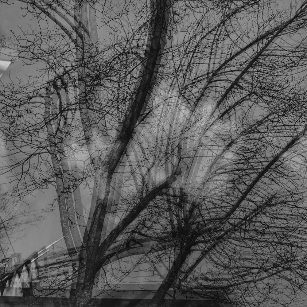 Фотография автора Ирина Курмалеева