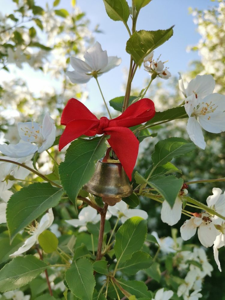 Photograph by Любовь Лунина