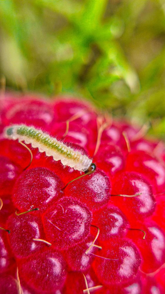 Photograph by Eugenia Blinova