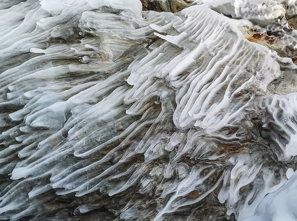 Photograph by Ольга Мусиенко