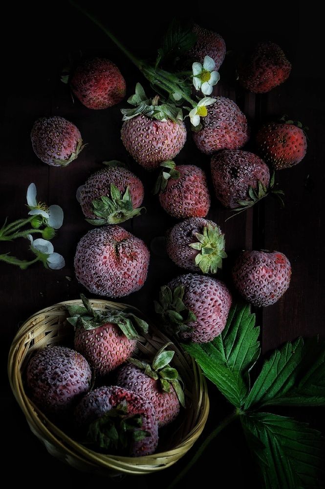 Фотография автора Светлана Васильева