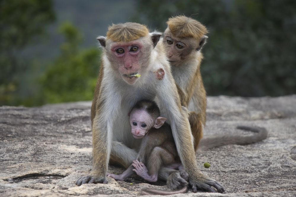 Photograph by Галина Ильясова