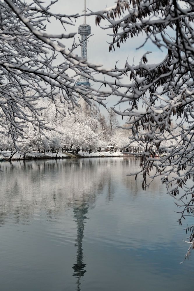 Фотография автора Сергей Кошин