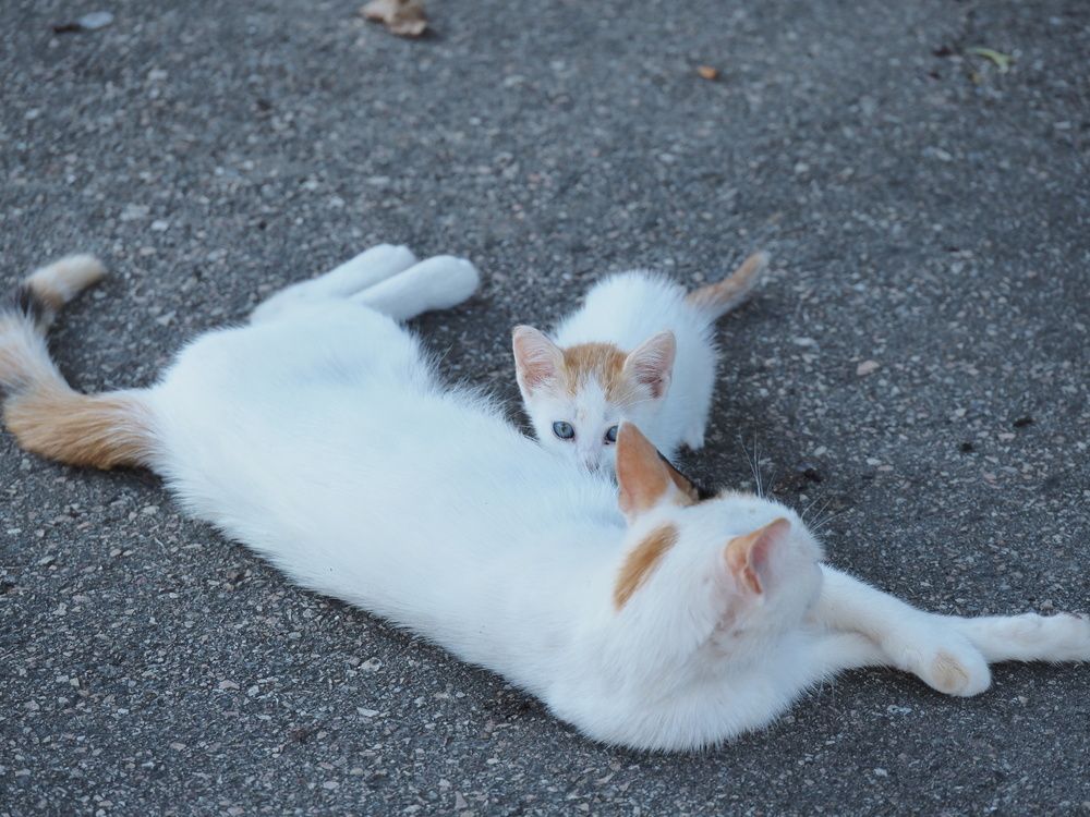 Photograph by Сергей Борисов