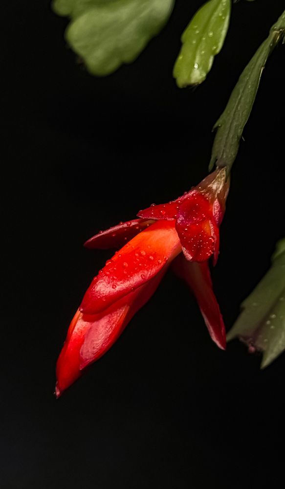 Photograph by Марина Мишутина