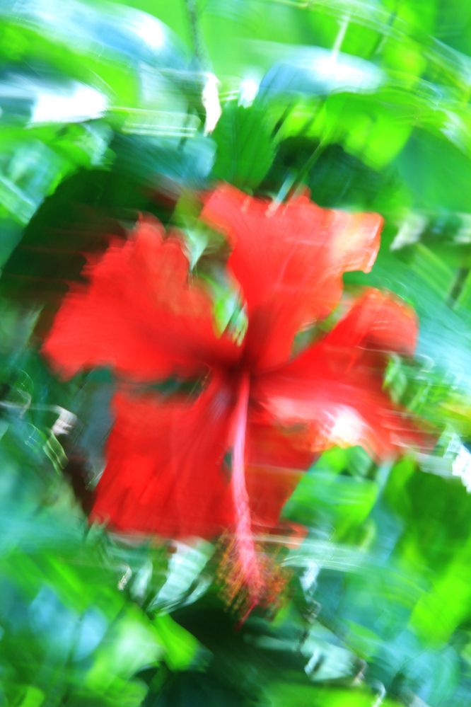 Photograph by Вячеслав Залитко