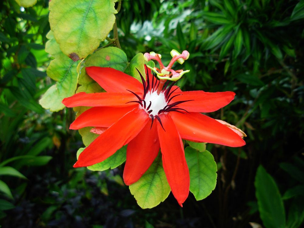 Photograph by Вячеслав Залитко