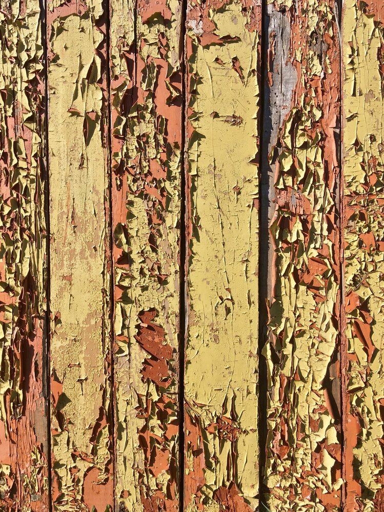 Photograph by Василий Богомолов