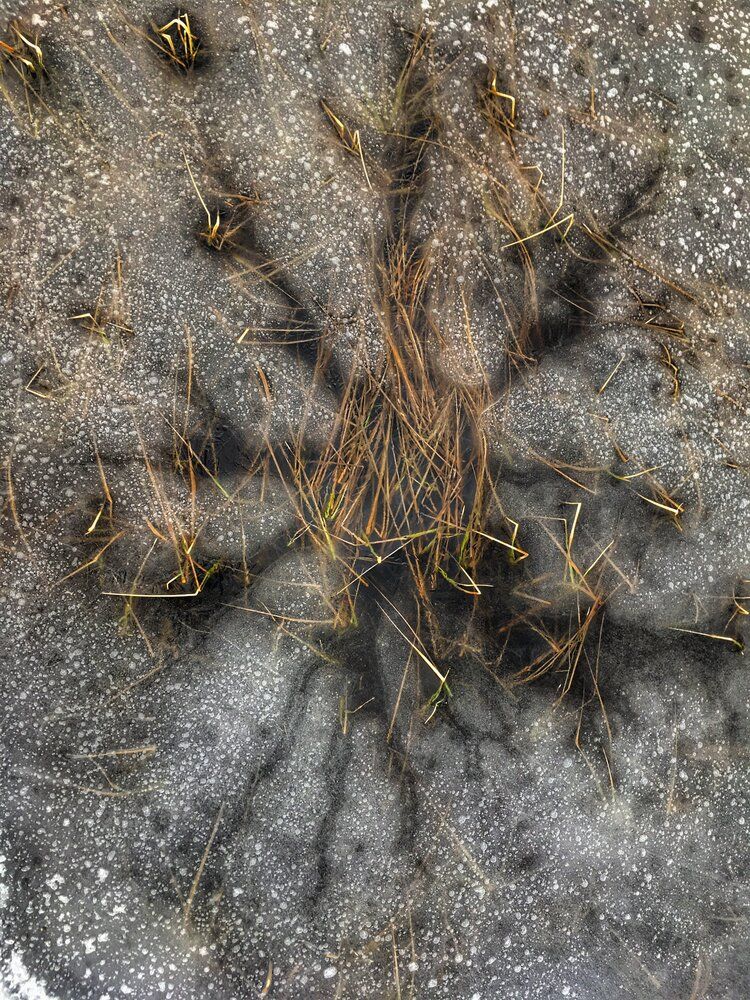 Photograph by Василий Богомолов