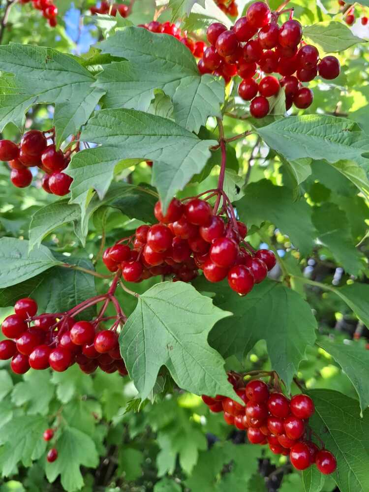 Photograph by Наталья Билай