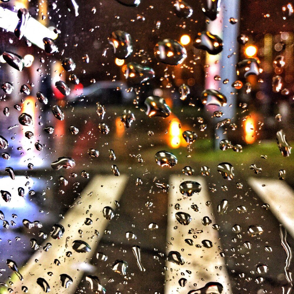 Photograph by Василий Богомолов