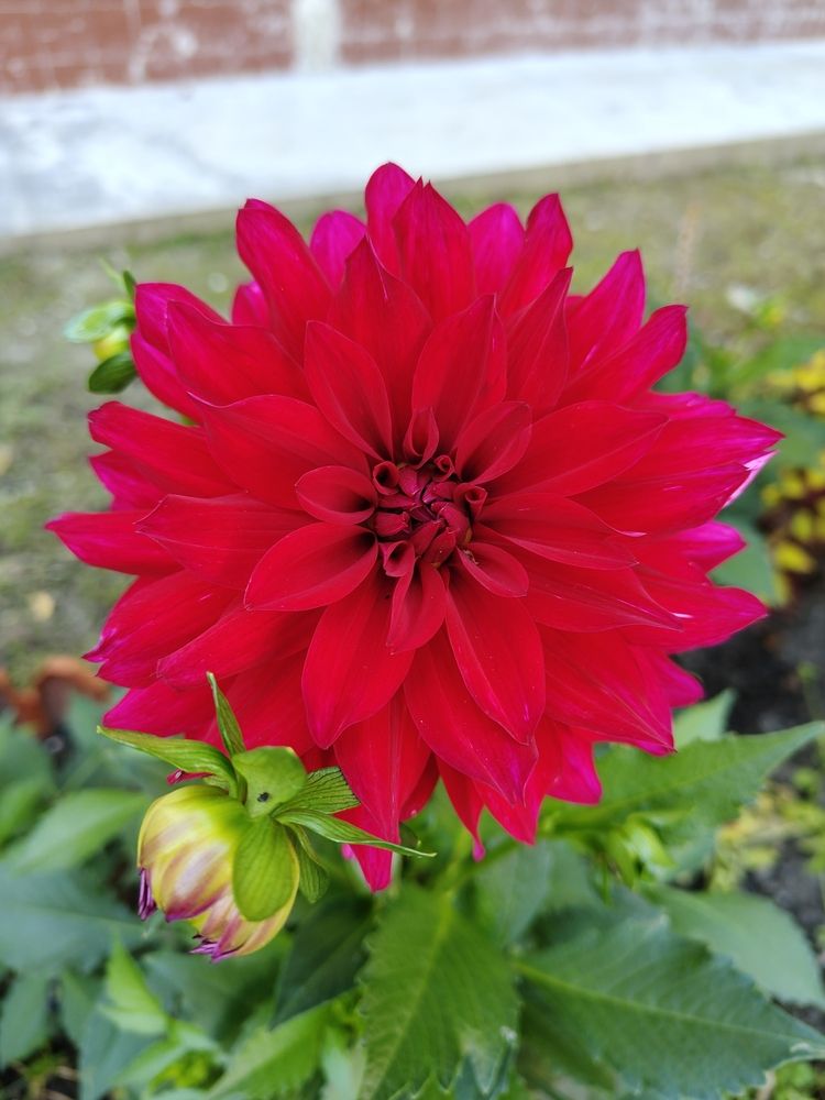 Photograph by Наталья Билай