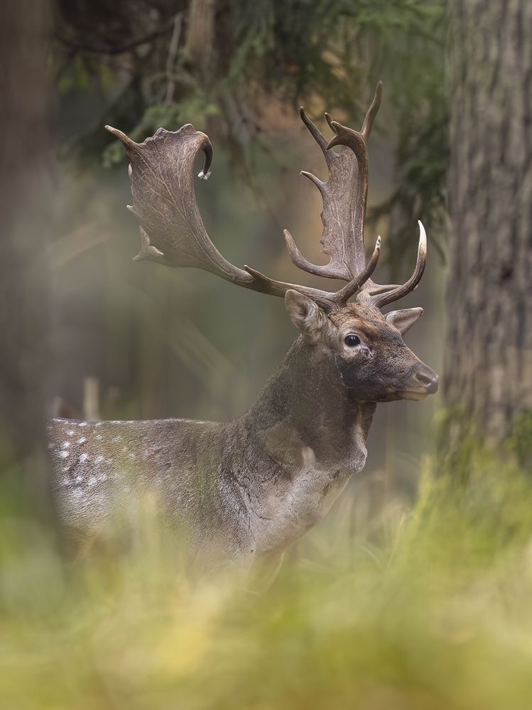 Photograph by Hubert Mielnik