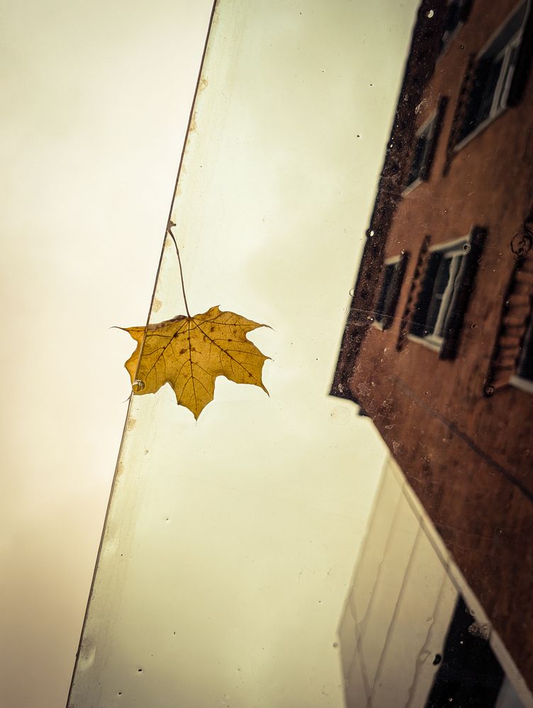 Photograph by Антон Огородов