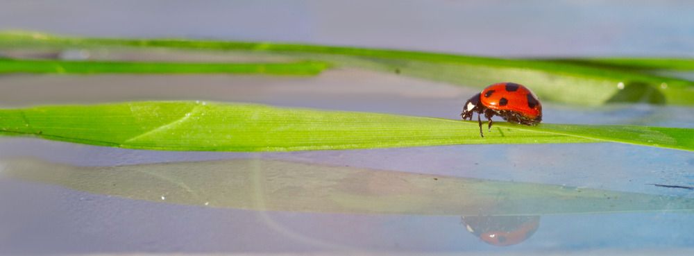 Photograph by Аркадова Елена