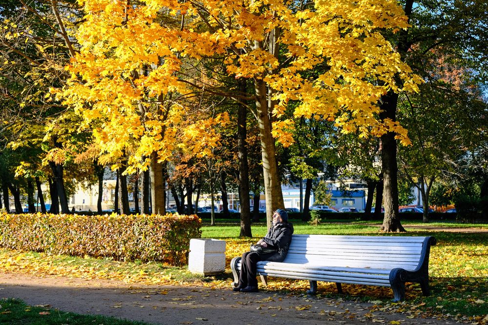 Отдых в парке.