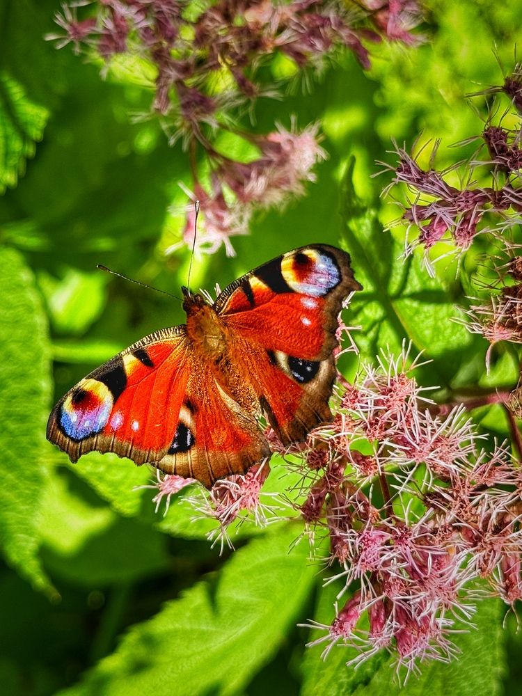 Photograph by Юлия Порфирьева