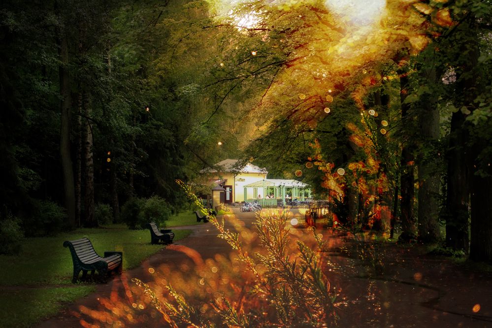 Photograph by Елена Суворова