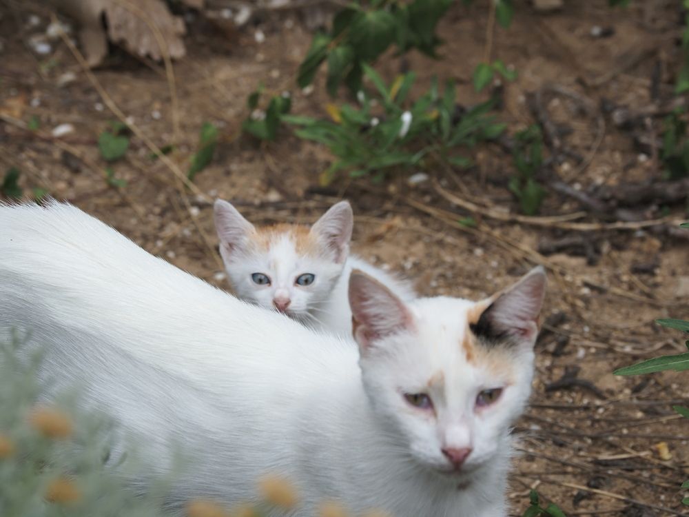 Photograph by Сергей Борисов