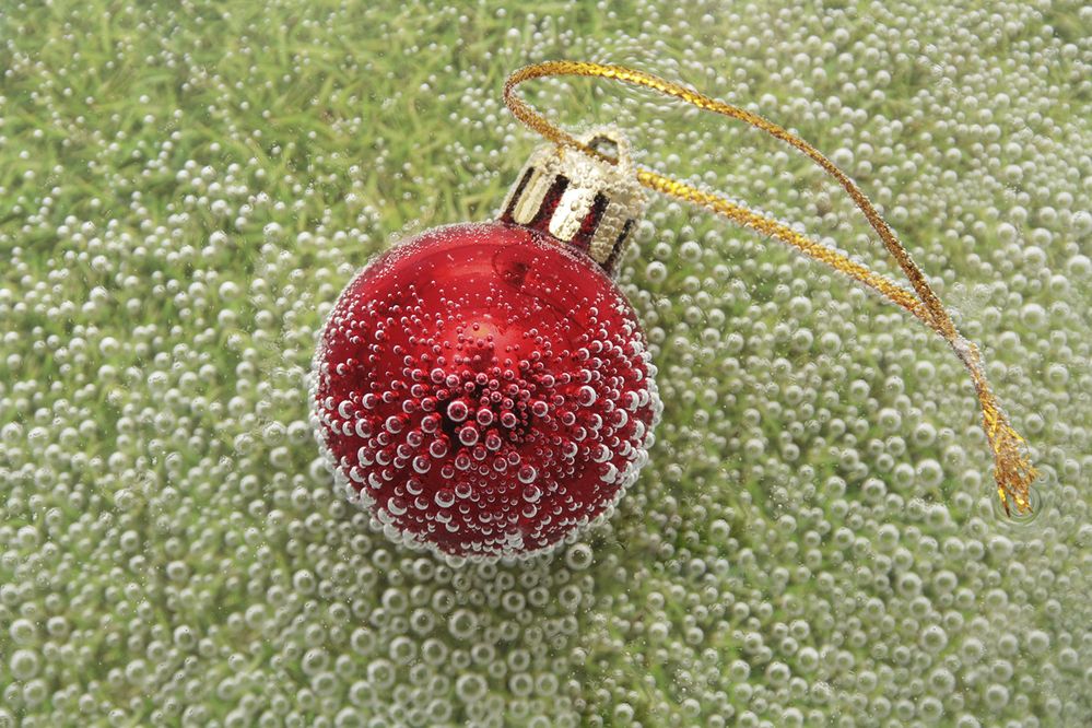 Photograph by Аркадова Елена