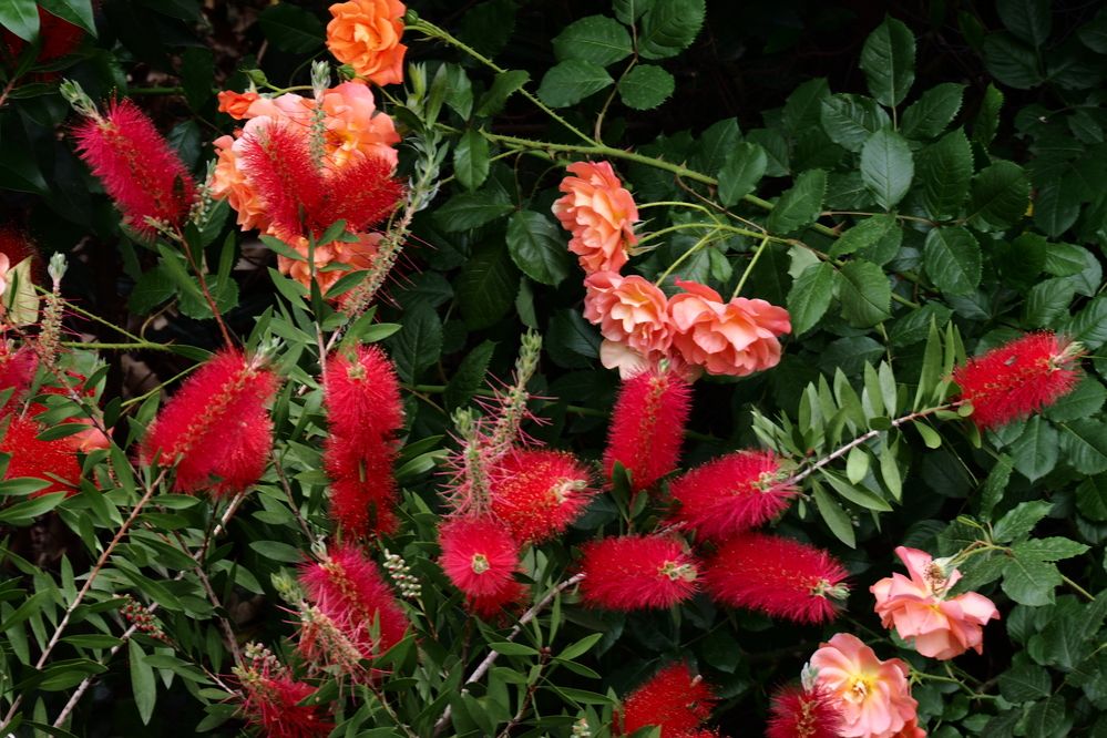 Фотография автора Сергей Варламов