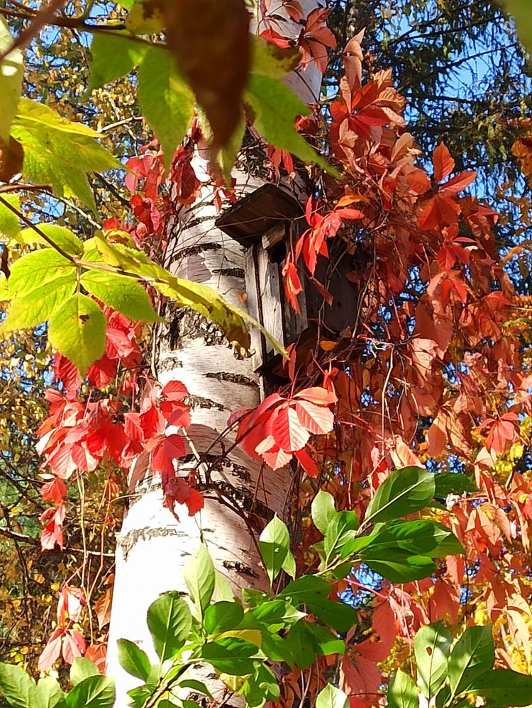 Фотография автора Юлия Сурина