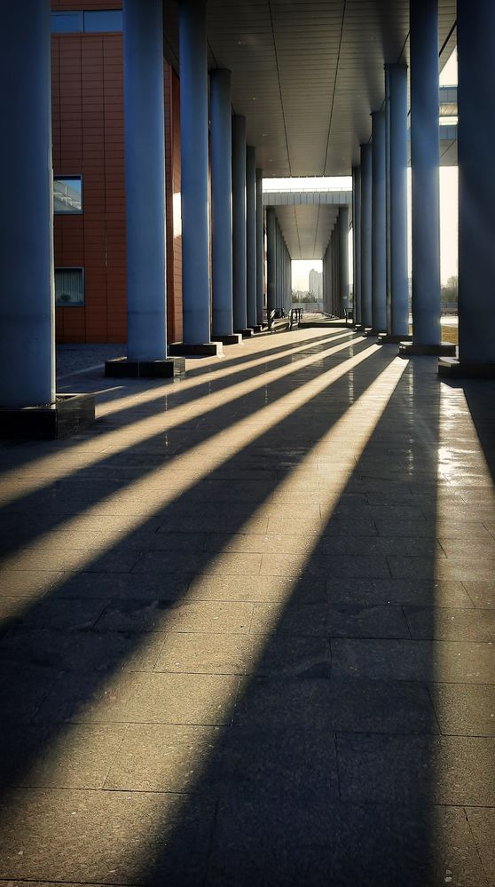 Photograph by Мария Бутягина