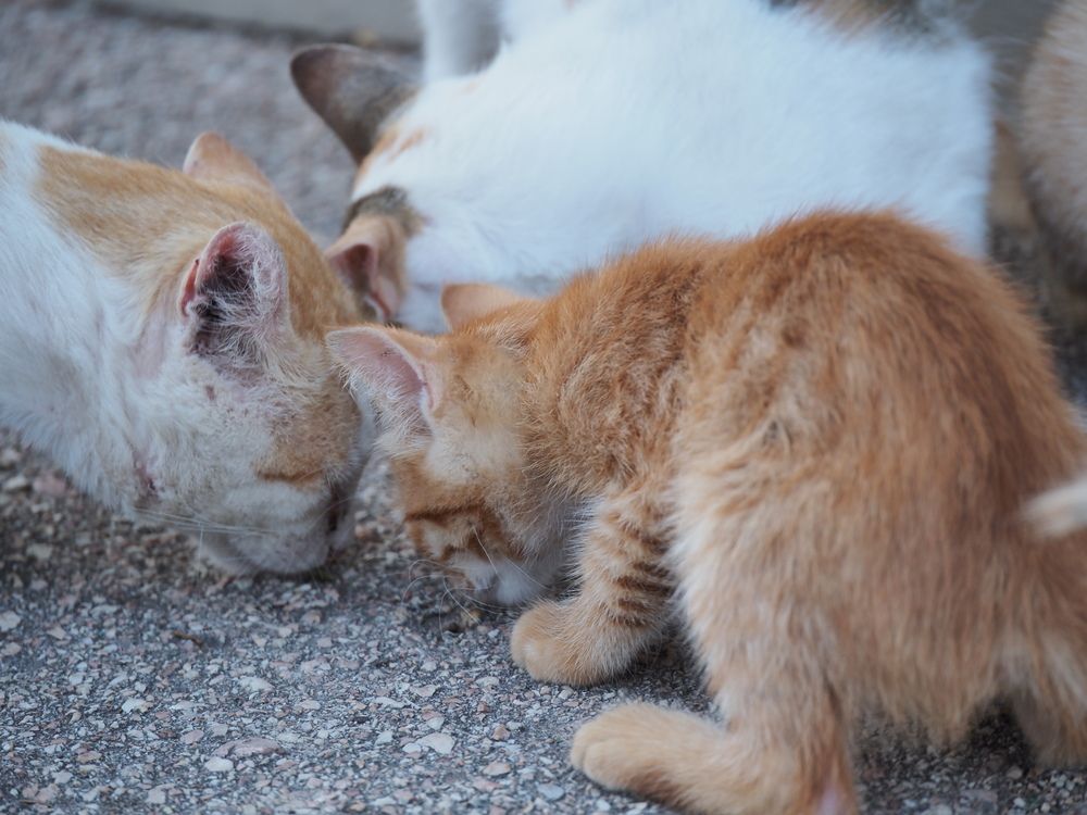 Photograph by Сергей Борисов