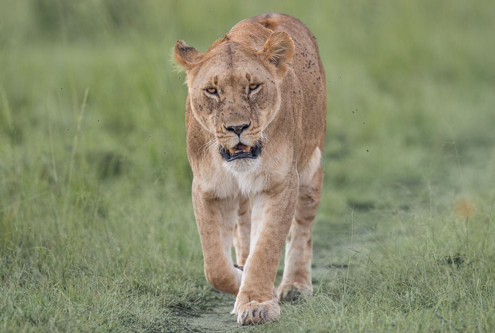 Photograph by Saarvesh Jayakumar