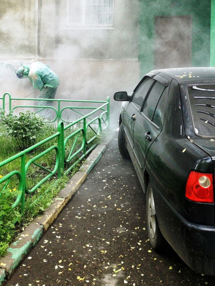 Photograph by Михаил Янкин