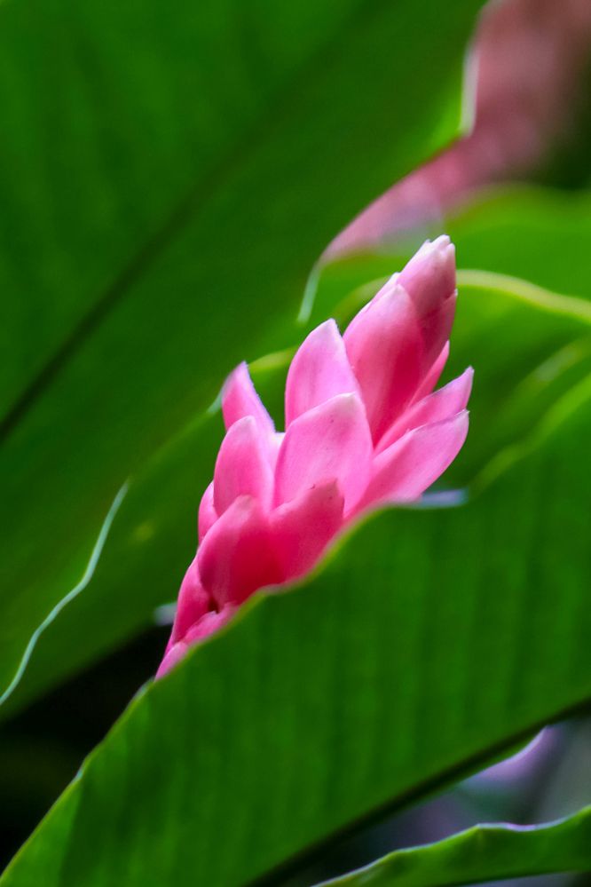 Photograph by Edi Hidayat