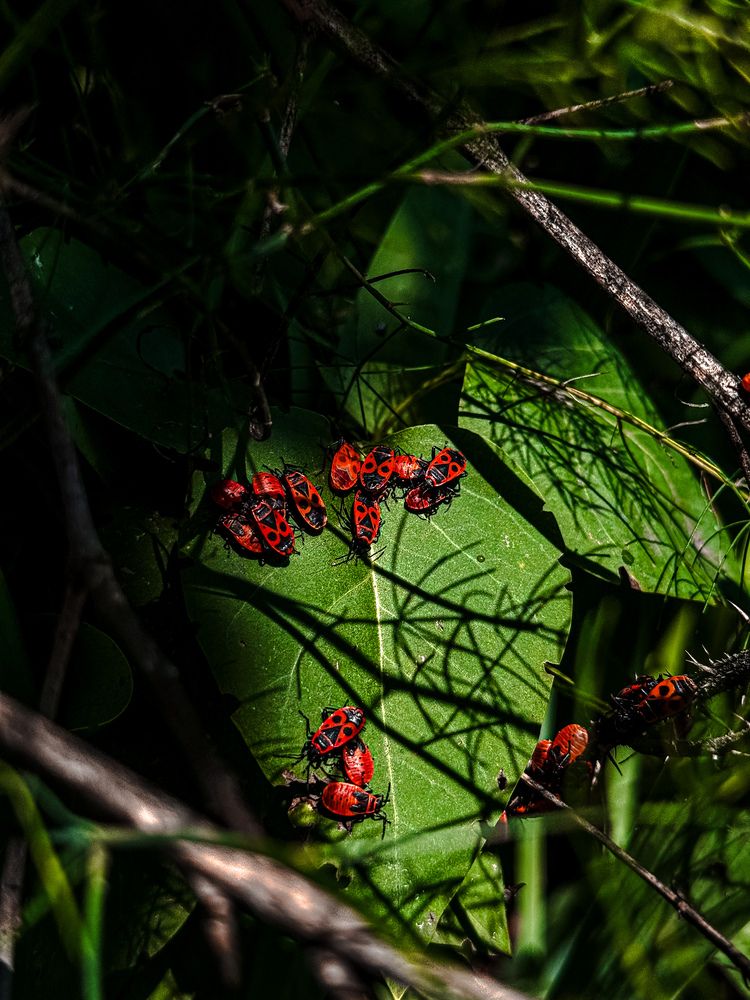 Photograph by Анна Пигулевская