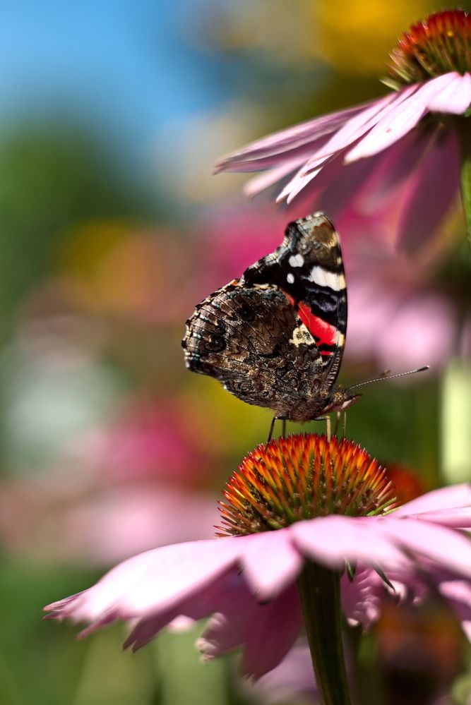 Photograph by Юрий Кашлевский