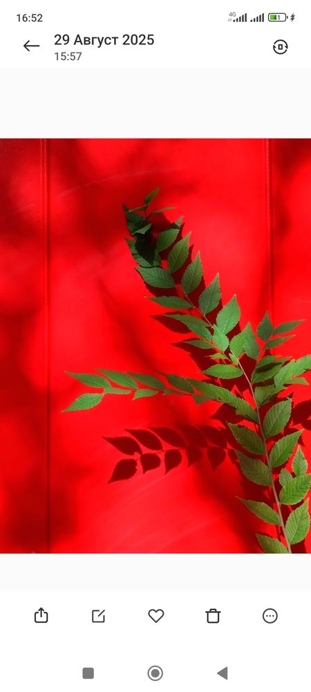 Photograph by Ирина Строкова