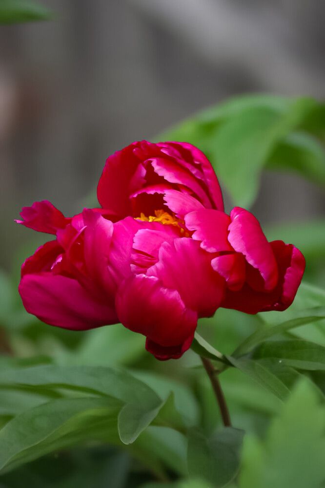 Photograph by Марина Мишутина