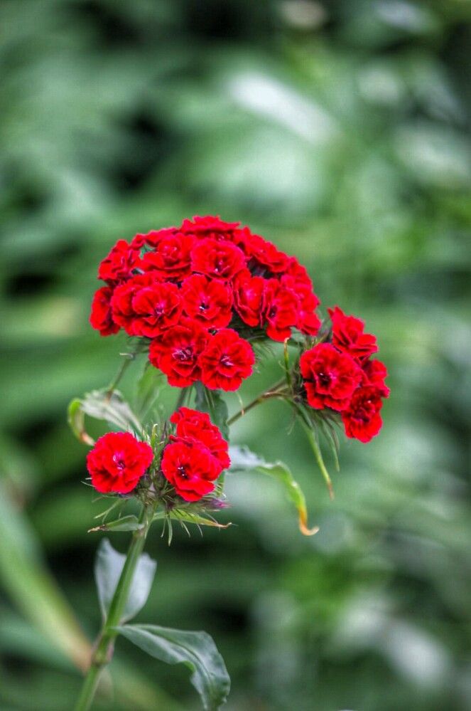 Photograph by Марина Мишутина