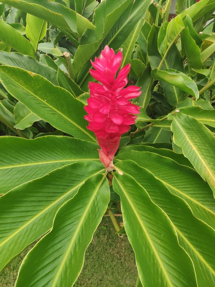 Photograph by Marzio Fattorini