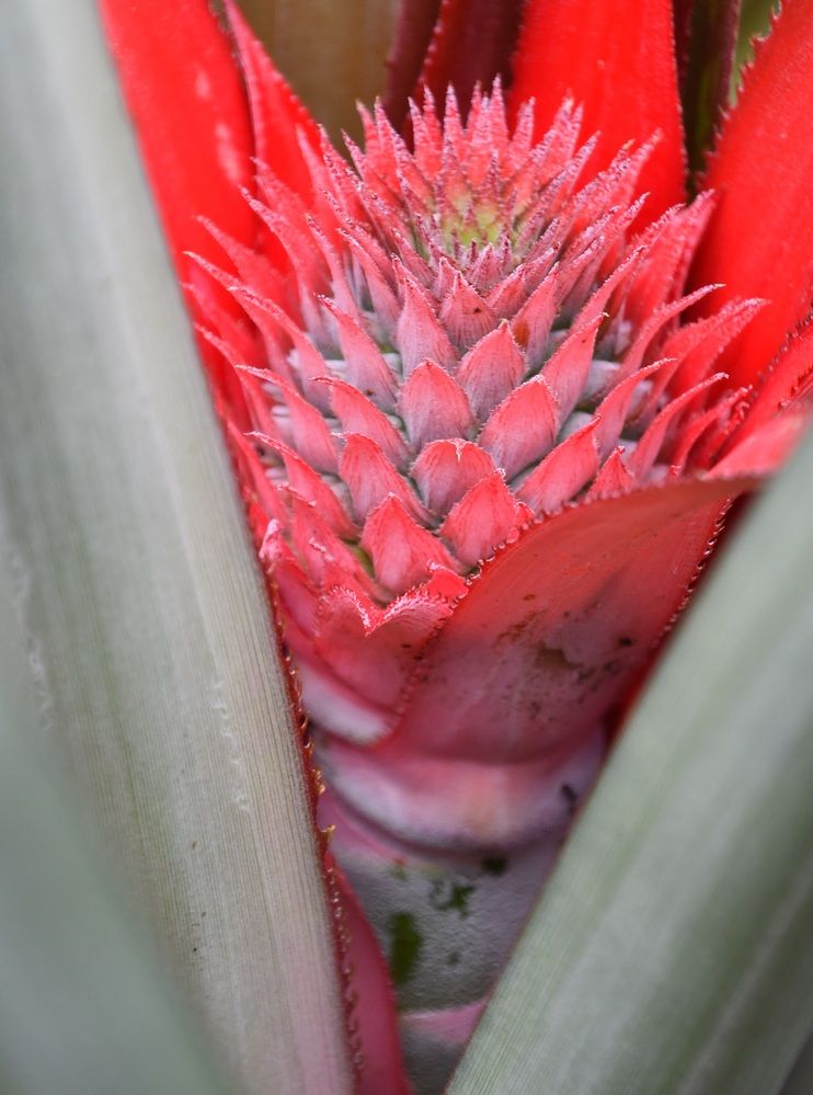 Photograph by Marzio Fattorini