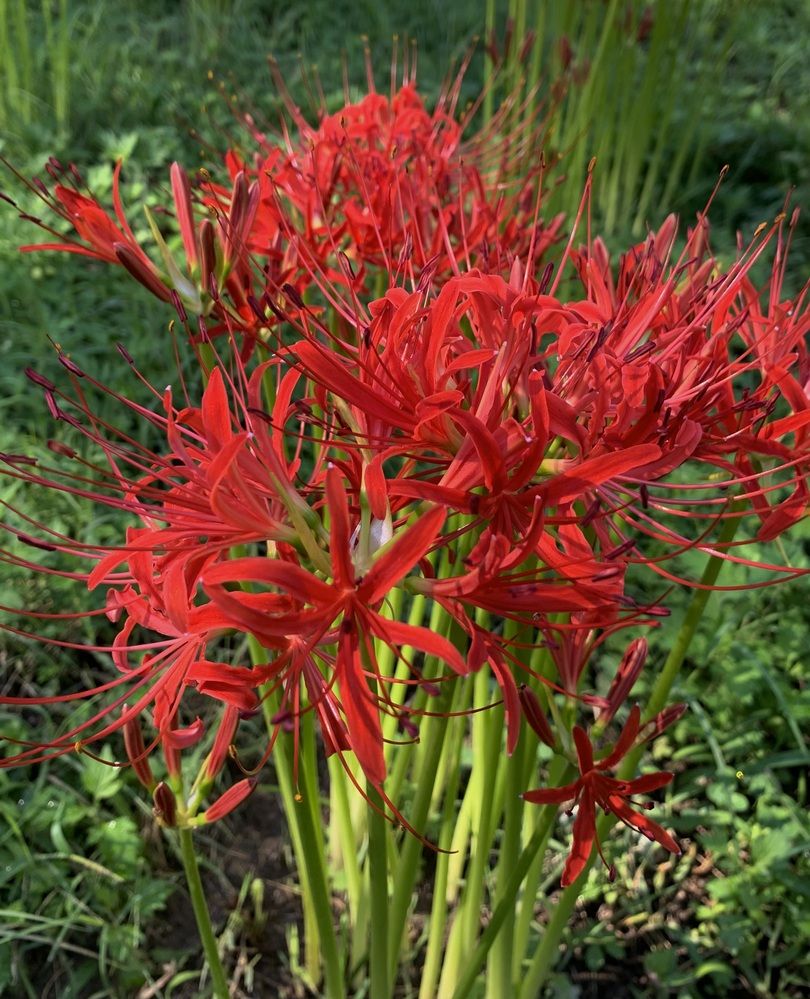 Photograph by Anna Poponina