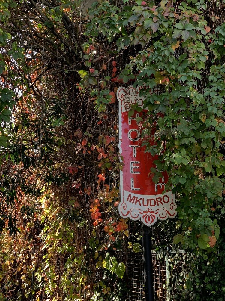 Photograph by Anna Poponina