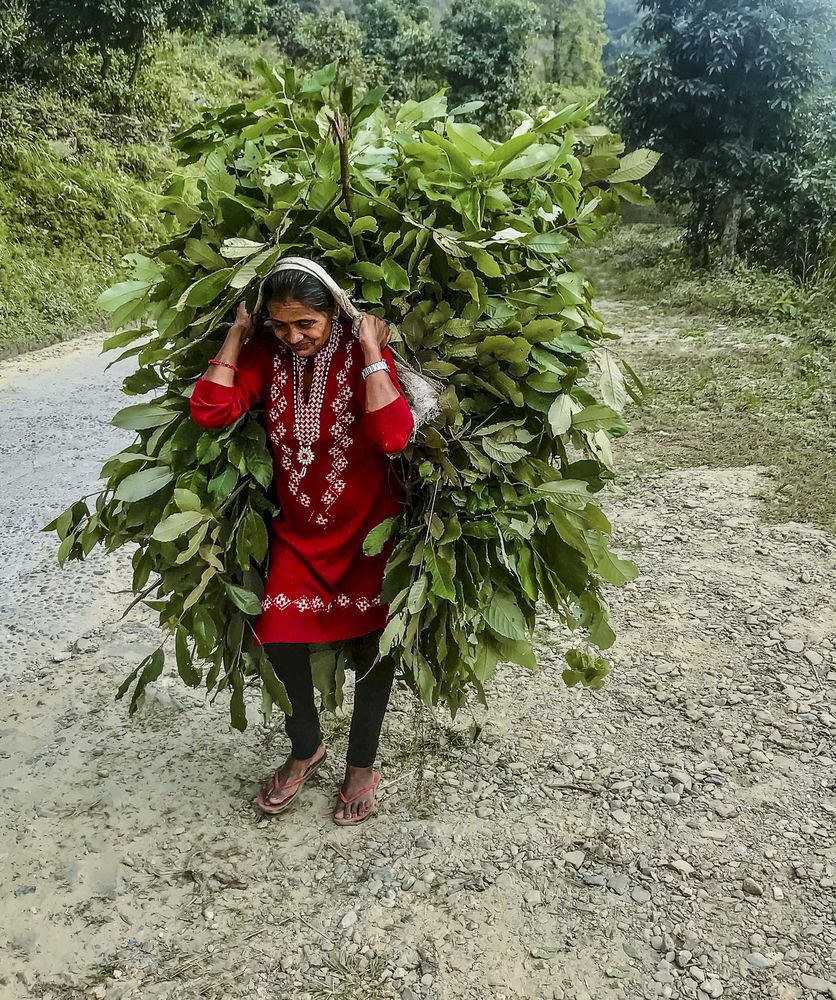 Photograph by Hamidreza zakeri