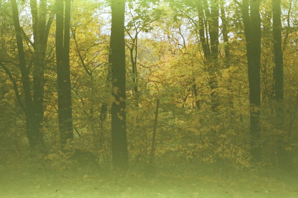 Photograph by Виктор Личутин