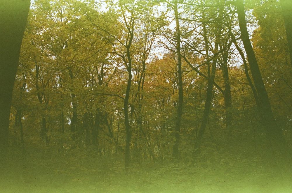 Photograph by Виктор Личутин