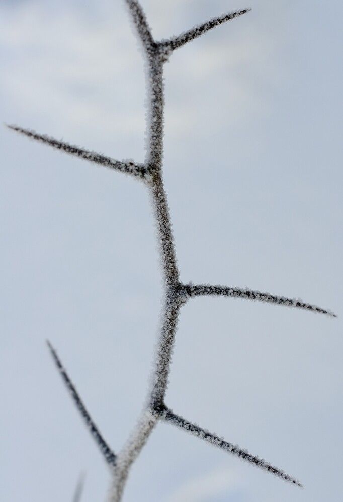 Photograph by Александр