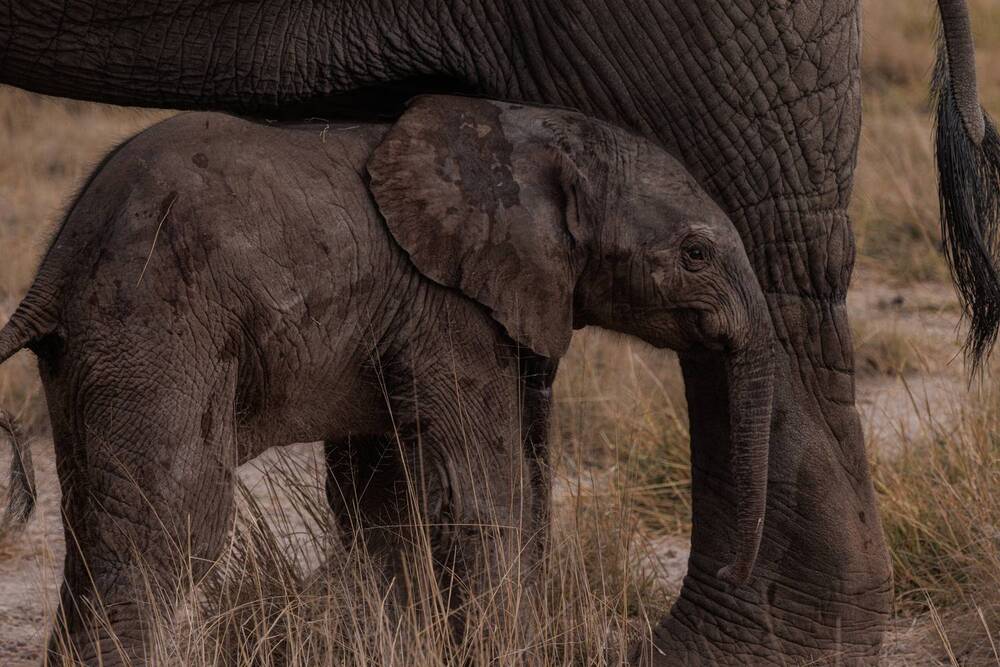 Photograph by Кирилл Мазазолин