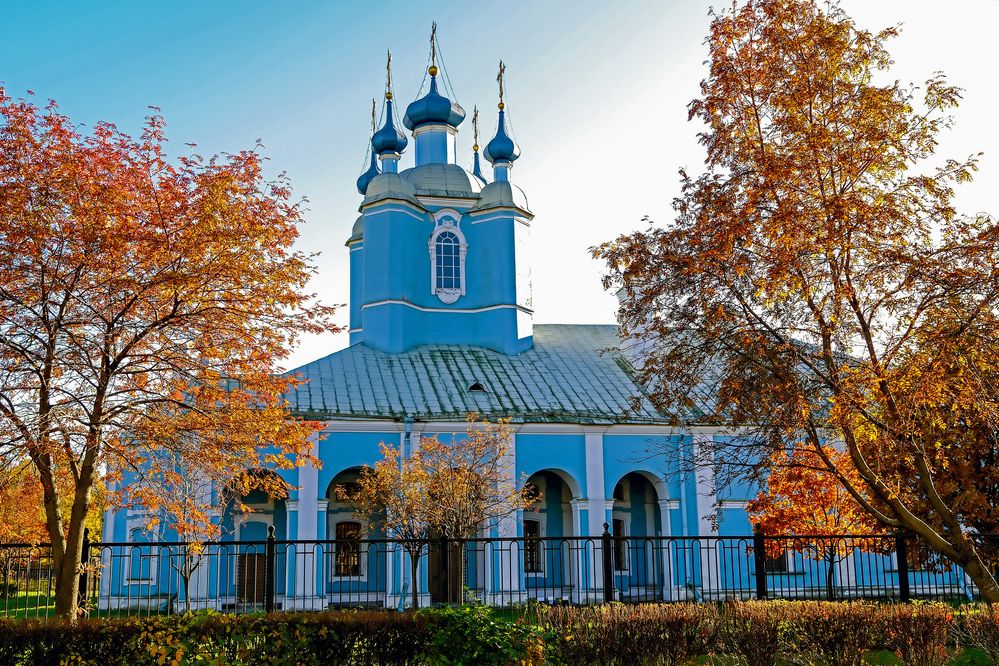 Осенние деревья в городском парке.