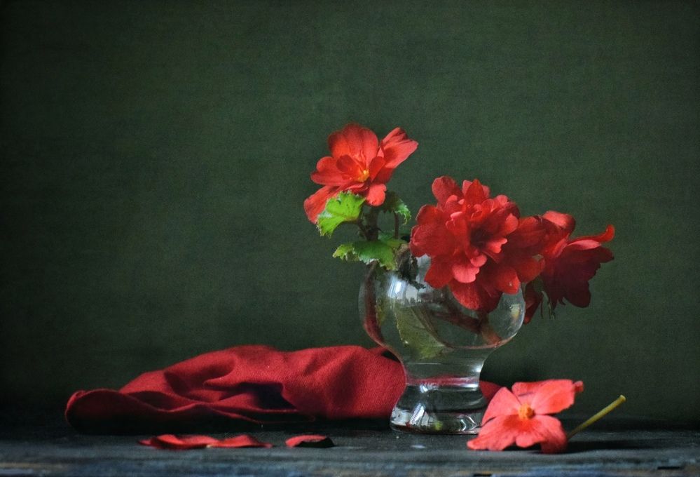 Photograph by Антонина Шабышева