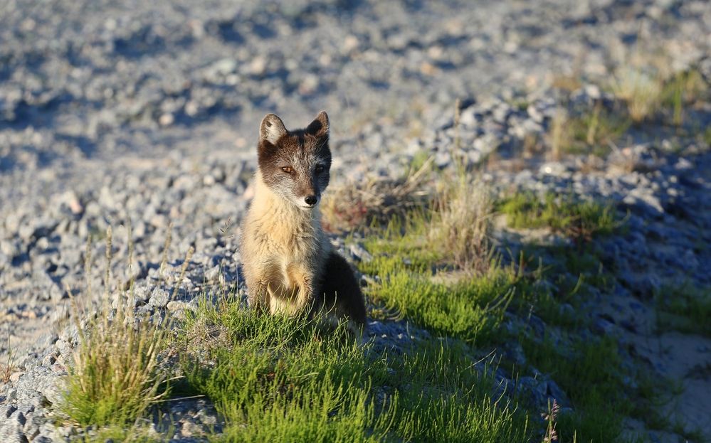 Photograph by Владимир Кулешов