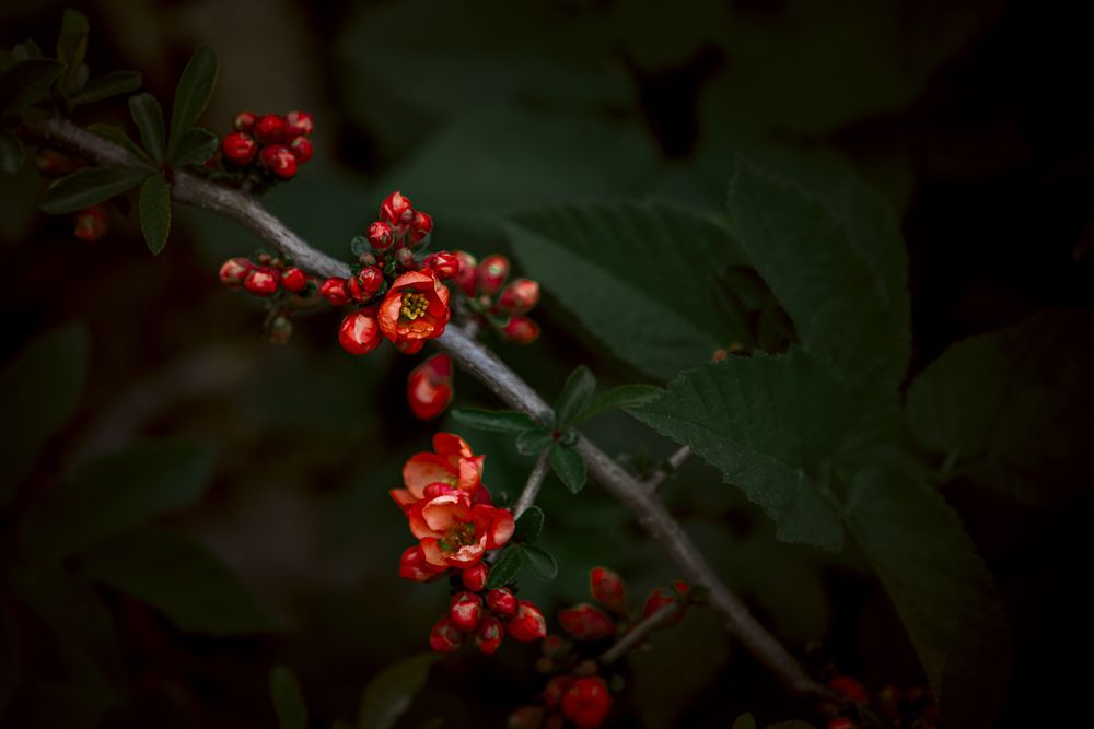 Photograph by Алексей